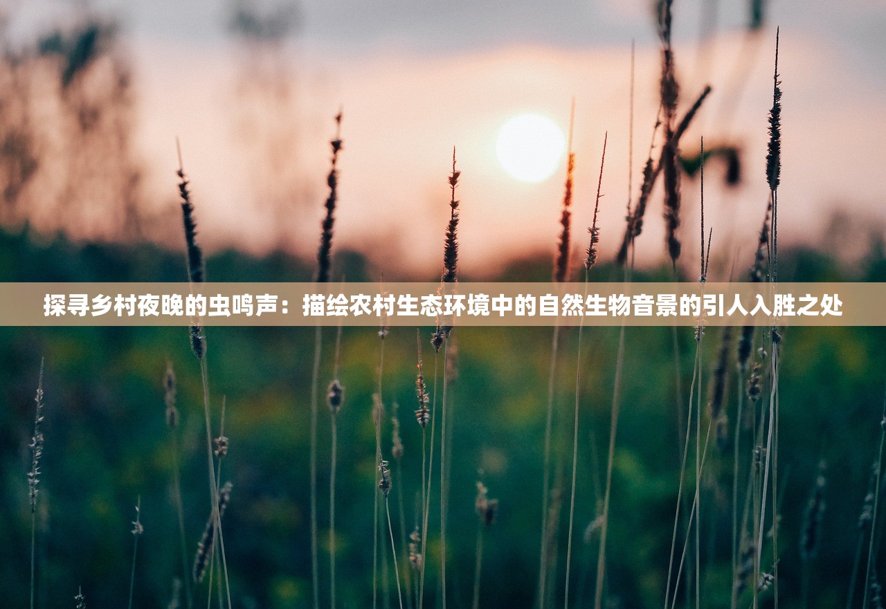 (花木兰从军记【小苮儿】)花木兰从军记小莫MP3，古韵与现代的交融