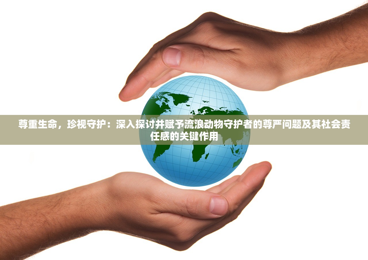 2024今晚马报资料|综合数据解释落实_适配版.5.688 2024今晚马报资料|综合数据解释落实_适配版.5.688