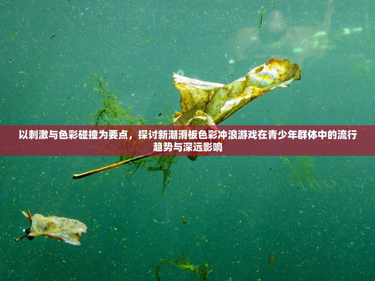 2024新奥正版资料四不象|探索神秘文化之旅_理财版.7.336 2024新奥正版资料四不象|探索神秘文化之旅_理财版.7.336