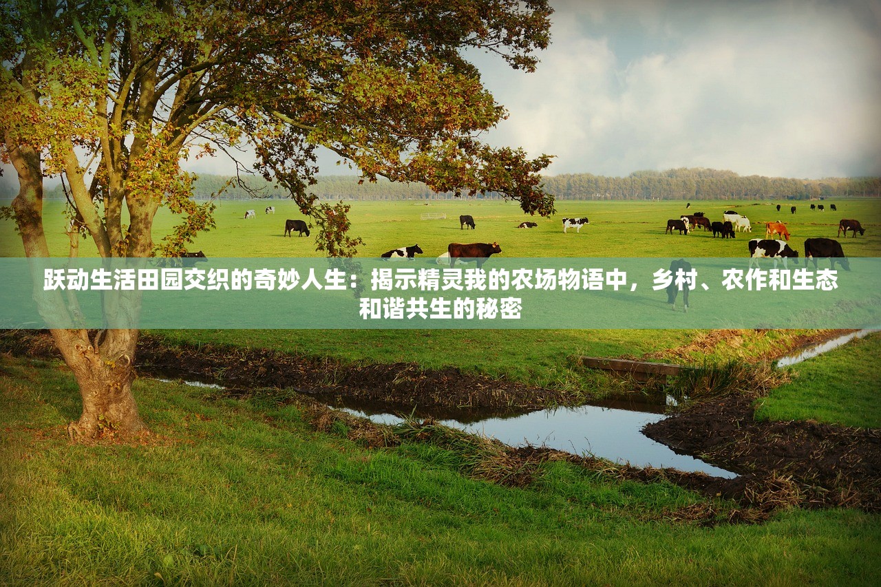 二四六香港天天开彩大全|理论解答解释落实_典藏集.7.633 二四六香港天天开彩大全|理论解答解释落实_典藏集.7.633