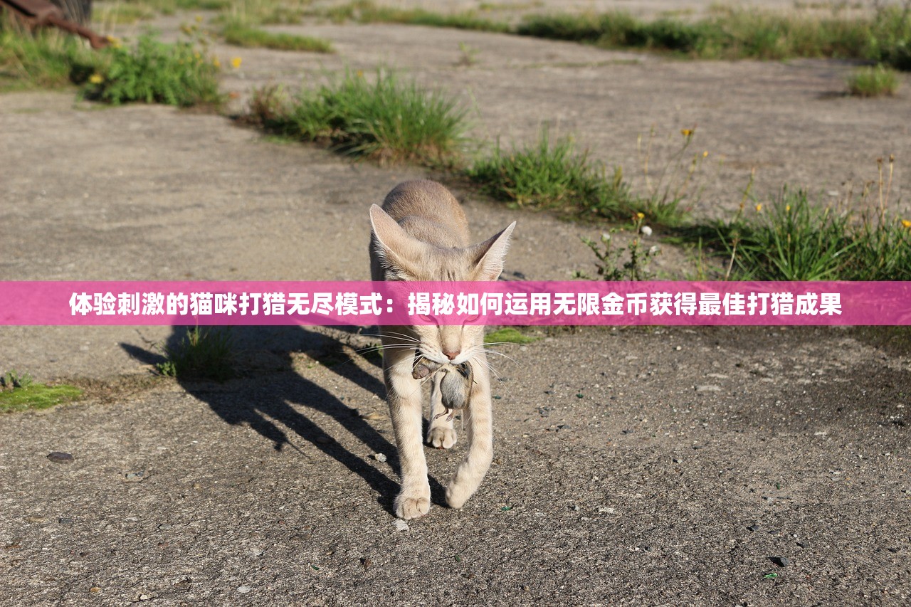 香港二四六玄机资料开奖|精选最佳解读方法与实践案例_说明版.5.289