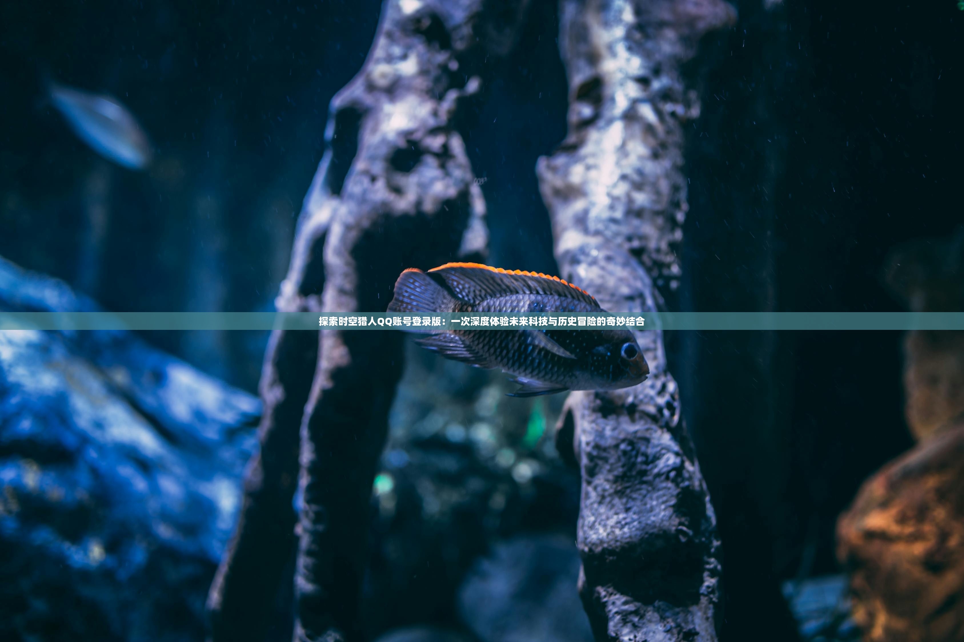 新澳2024今晚王中王免费资料|探索新兴趋势与精彩故事_静态版.2.389