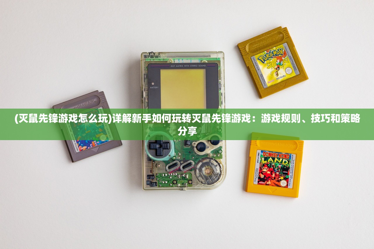 2024年澳门精准正版资料|实践验证解释落实_Lite.1.445