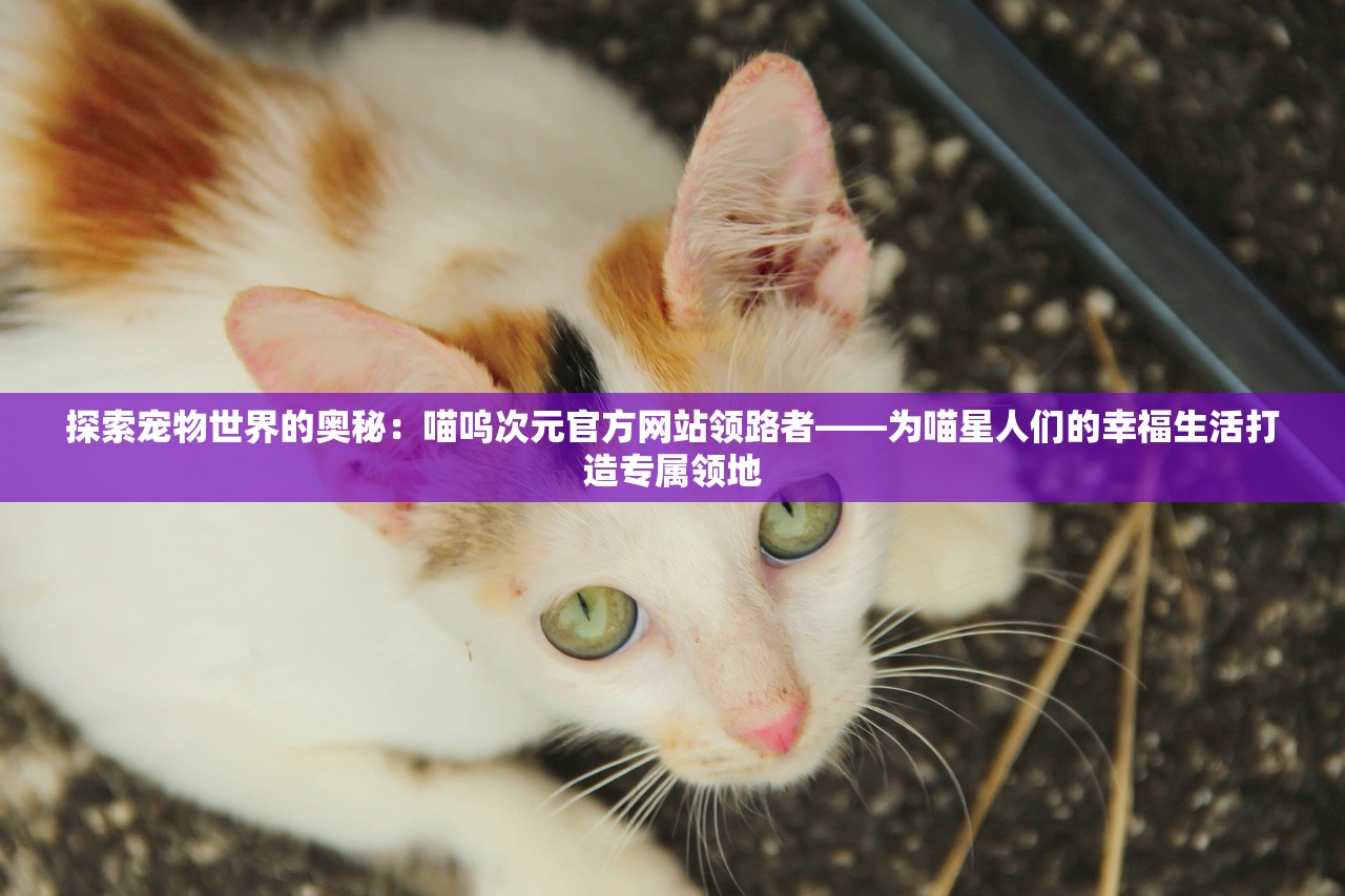 2024管家婆一码一肖|准确资料解释落实_防护集.3.998 2024管家婆一码一肖|准确资料解释落实_防护集.3.998