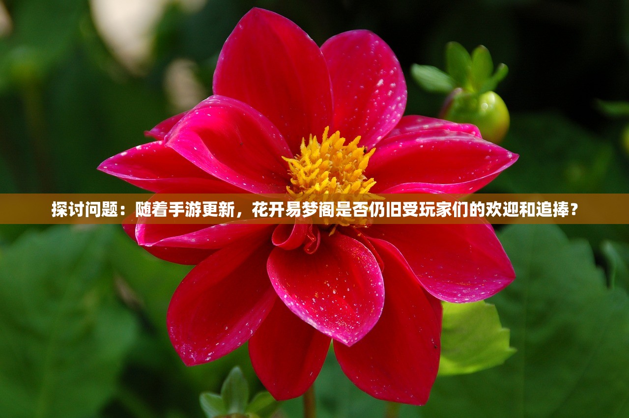 2024新澳门今晚开特马记录|探索神秘文化之旅_便民版.3.134