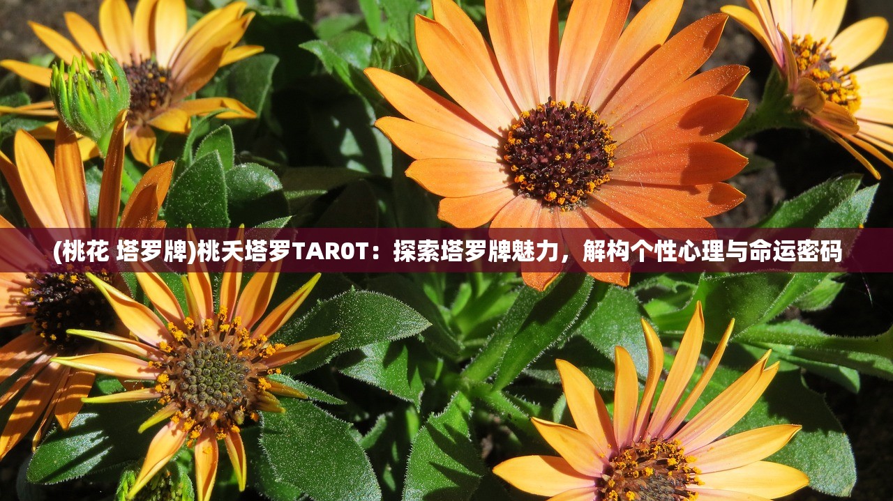 (克瑞因的纷争下载)克瑞因的纷争真实结局，深度解析与多元视角探讨