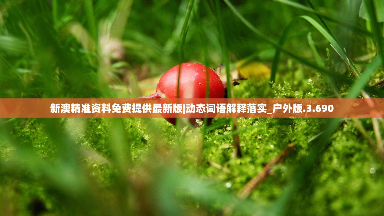 新澳精准资料免费提供最新版|动态词语解释落实_户外版.3.690 新澳精准资料免费提供最新版|动态词语解释落实_户外版.3.690