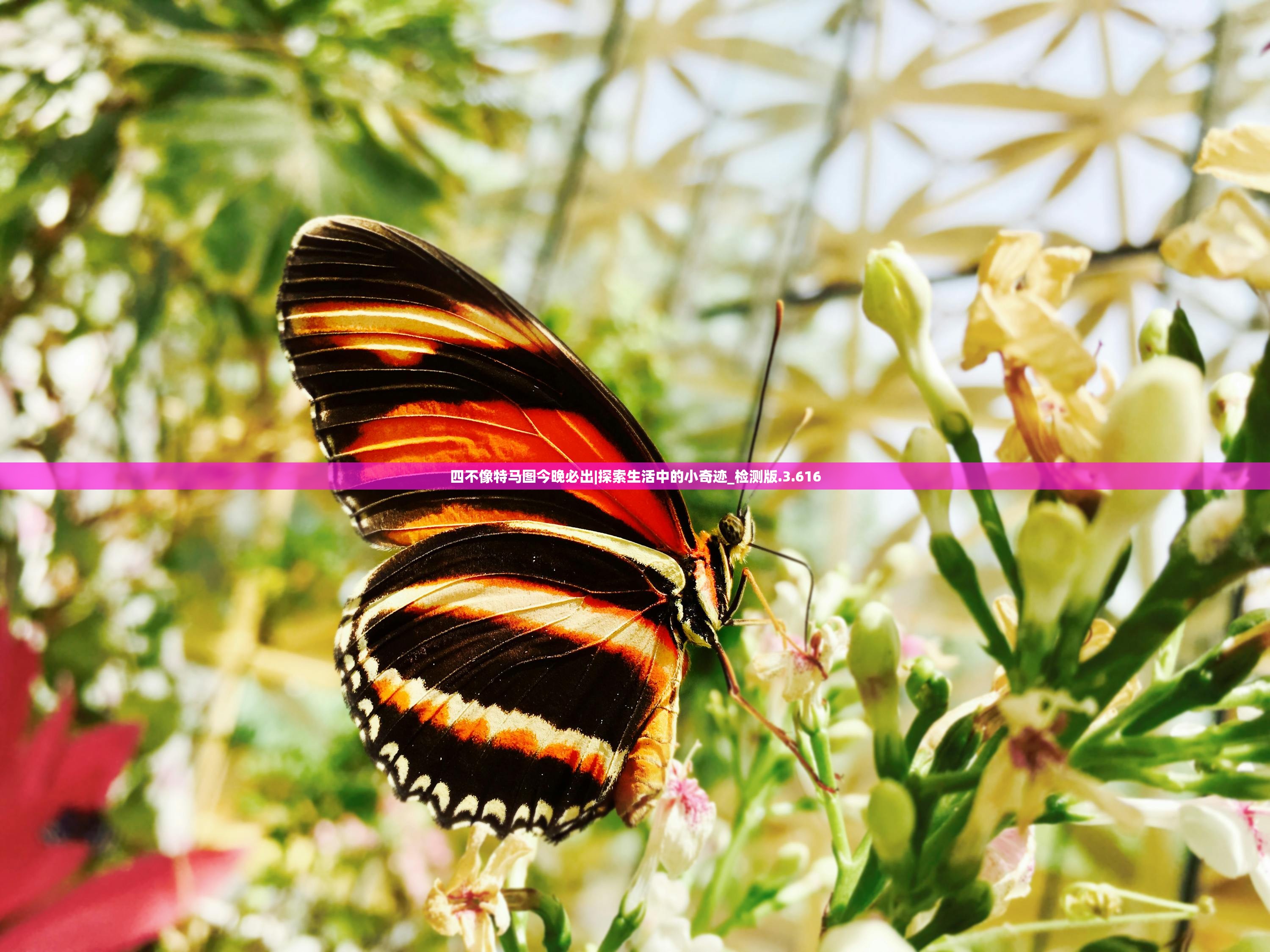 新澳门全年免费资料|真实解答解释落实_弹性款.2.313