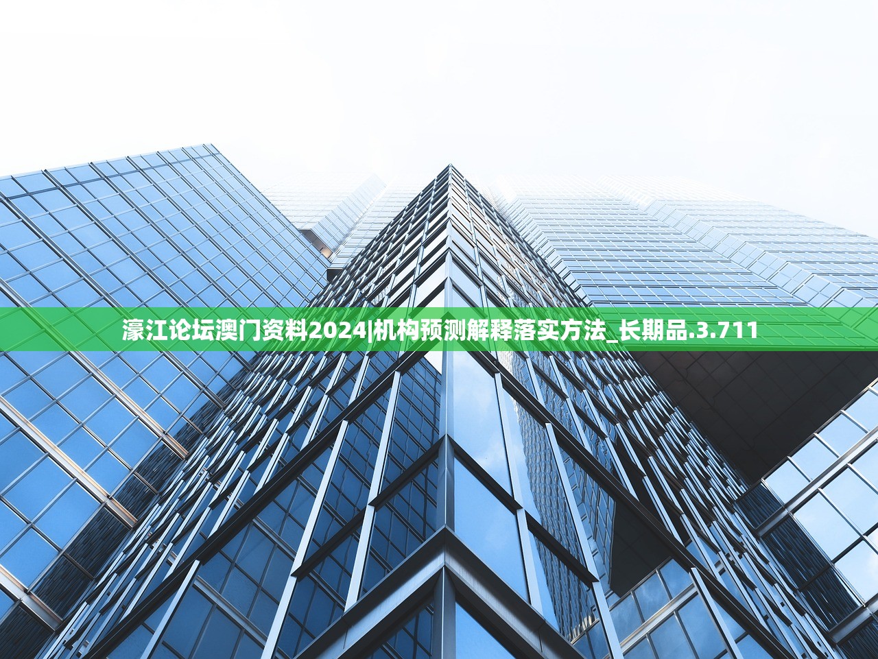 濠江论坛澳门资料2024|机构预测解释落实方法_长期品.3.711