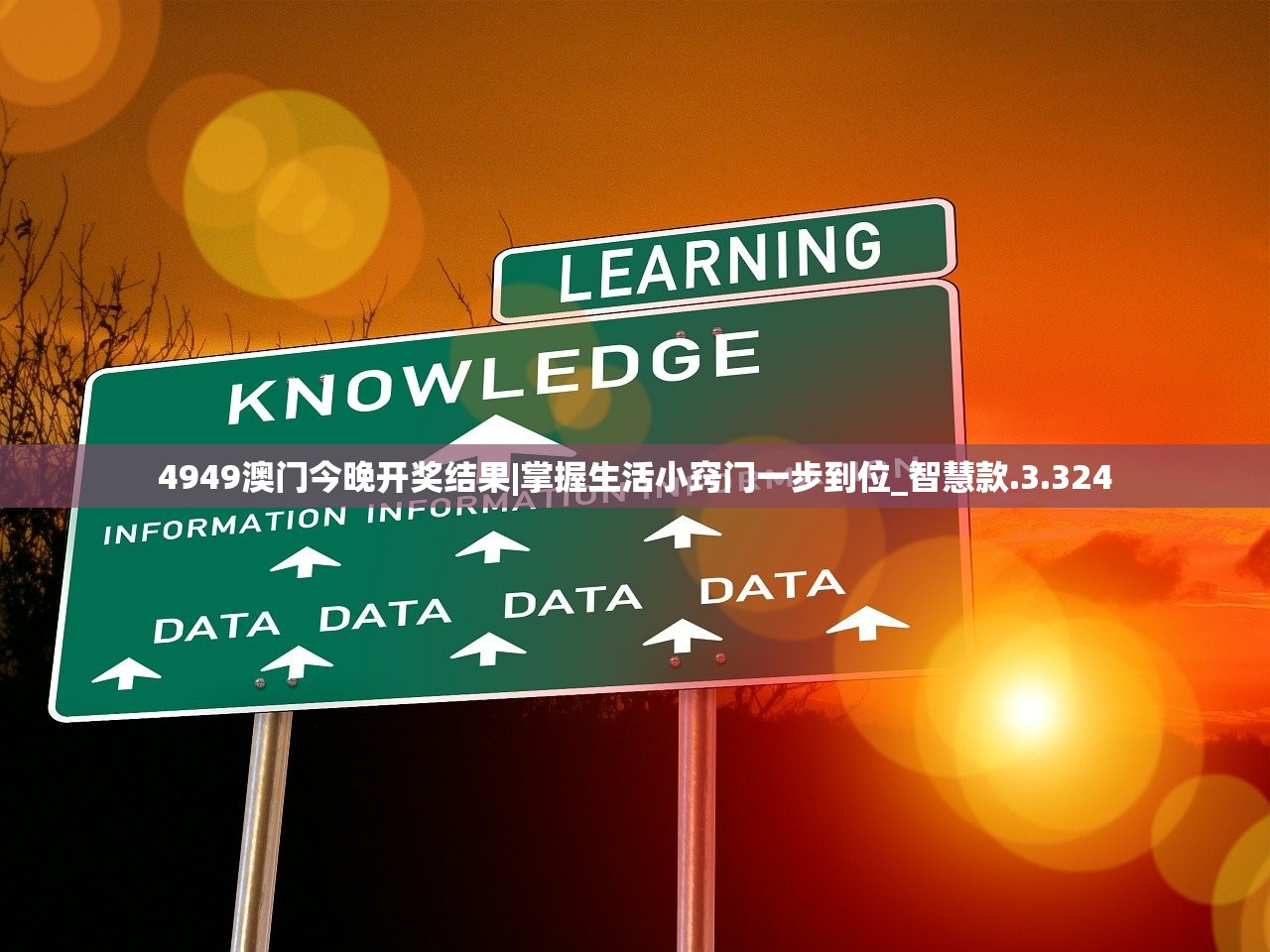 4949澳门今晚开奖结果|掌握生活小窍门一步到位_智慧款.3.324 4949澳门今晚开奖结果|掌握生活小窍门一步到位_智慧款.3.324