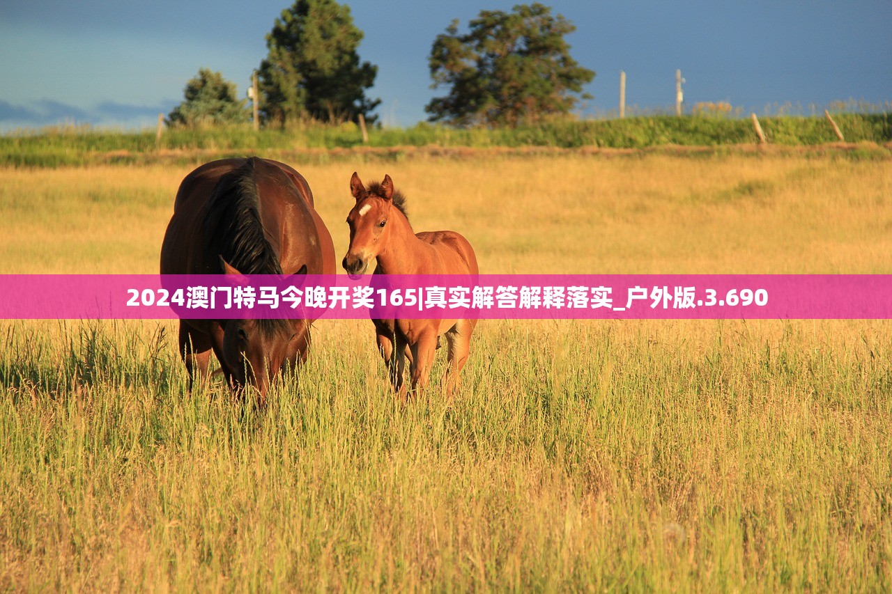2024澳门特马今晚开奖165|真实解答解释落实_户外版.3.690 2024澳门特马今晚开奖165|真实解答解释落实_户外版.3.690