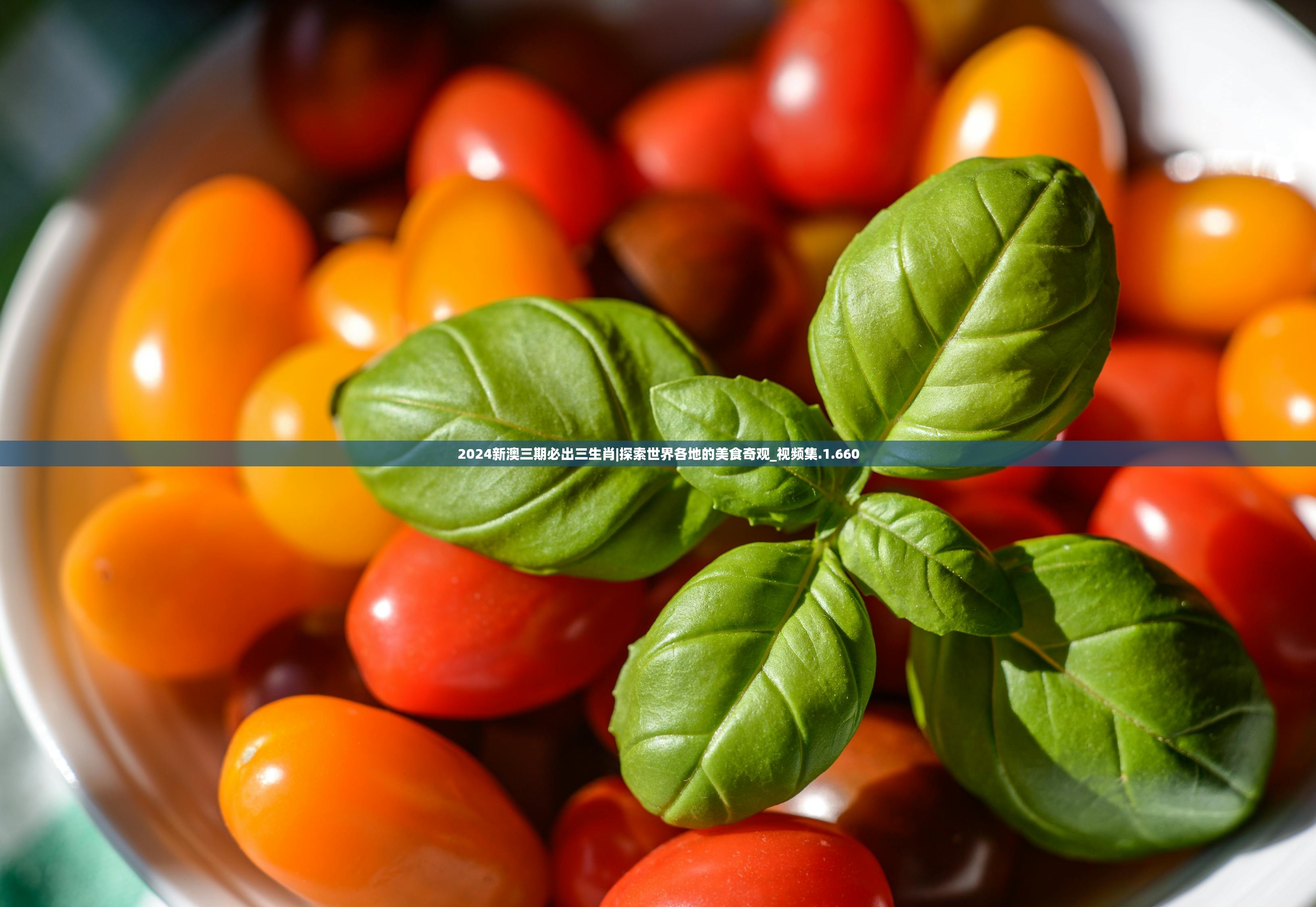 2024新澳三期必出三生肖|探索世界各地的美食奇观_视频集.1.660 2024新澳三期必出三生肖|探索世界各地的美食奇观_视频集.1.660