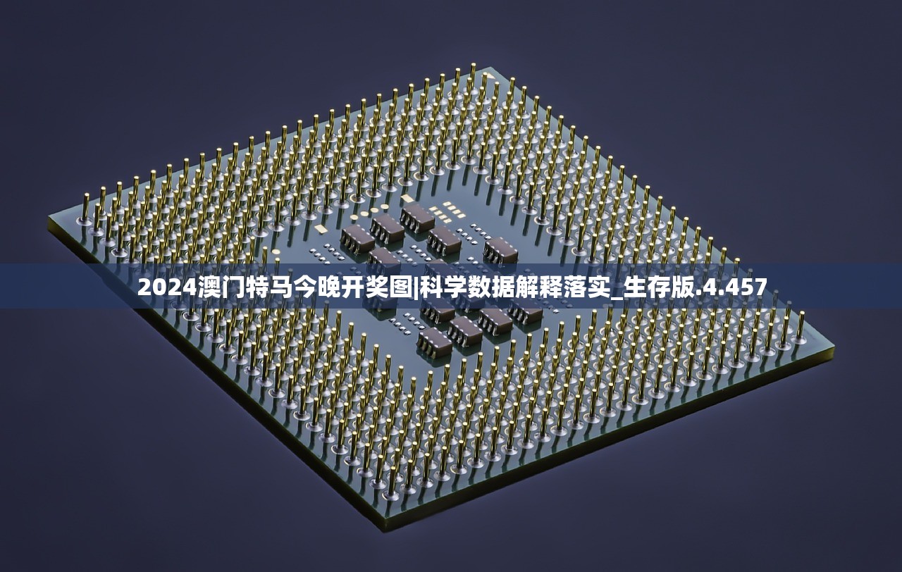 (勇敢的哈克攻略大全)勇敢的哈克全面攻略，从入门到精通