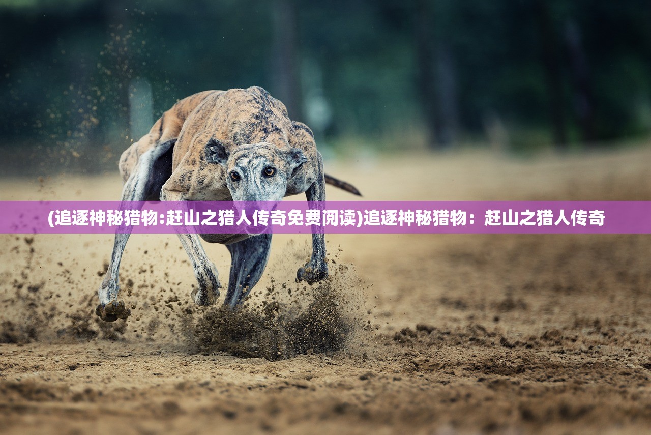 (火王破晓之战演员表介绍)火王破晓之战,战火重燃,英雄崛起 (火王破晓之战演员表介绍)火王破晓之战,战火重燃,英雄崛起