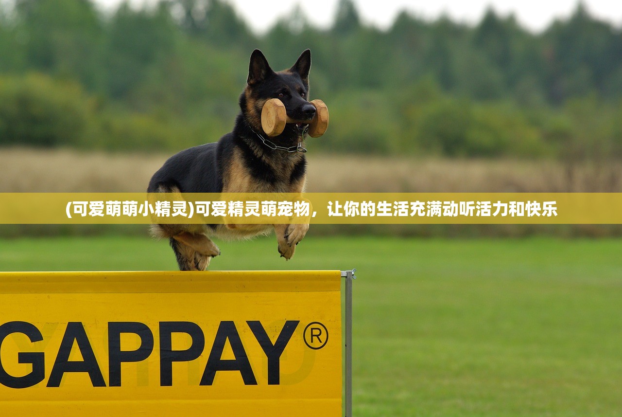 (十部顶级震撼的魔幻电影)魔戒九部曲的顺序及其深度解读 (十部顶级震撼的魔幻电影)魔戒九部曲的顺序及其深度解读