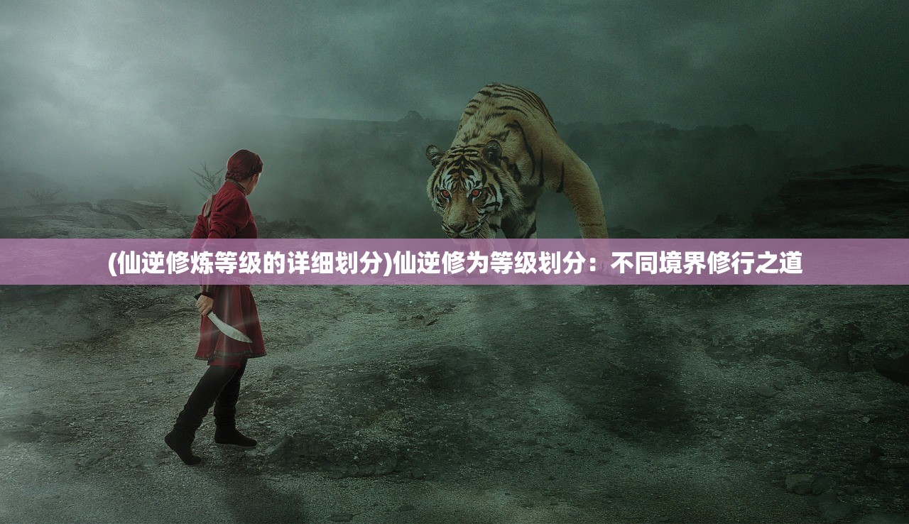 (英雄333)英雄三十分停服原因详解,深度剖析与多维度分析 (英雄333)英雄三十分停服原因详解,深度剖析与多维度分析