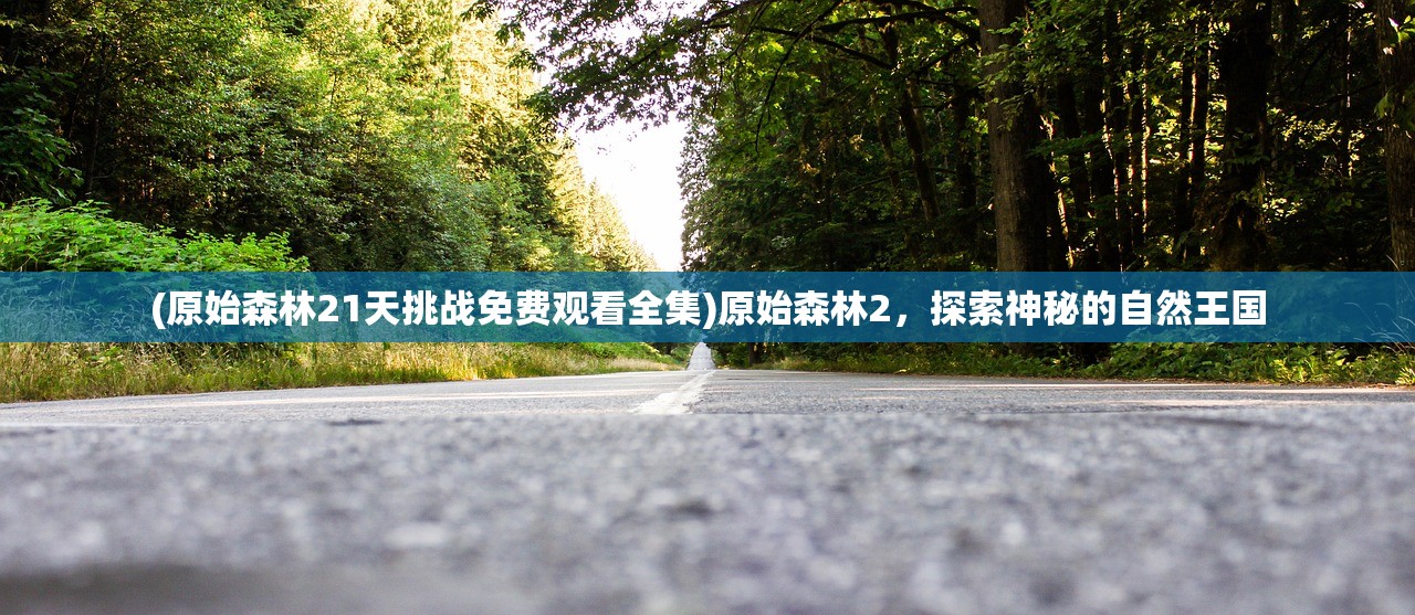 (蜀山掌门谁最厉害)蜀山掌门顺序，历代传承与权力更迭