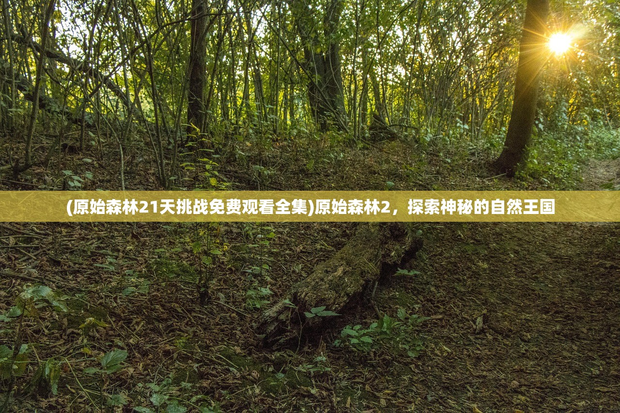 (蜀山掌门谁最厉害)蜀山掌门顺序，历代传承与权力更迭