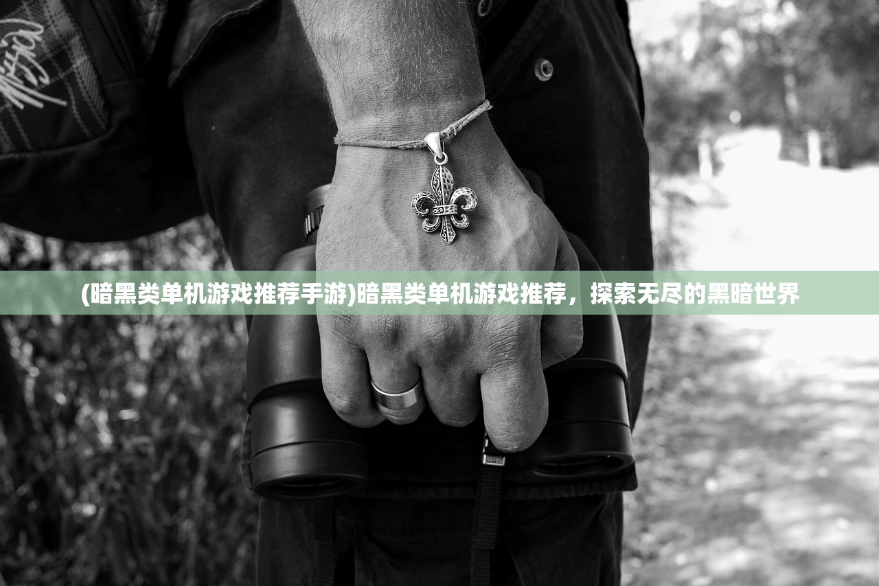 (暗黑类单机游戏推荐手游)暗黑类单机游戏推荐,探索无尽的黑暗世界 (暗黑类单机游戏推荐手游)暗黑类单机游戏推荐,探索无尽的黑暗世界