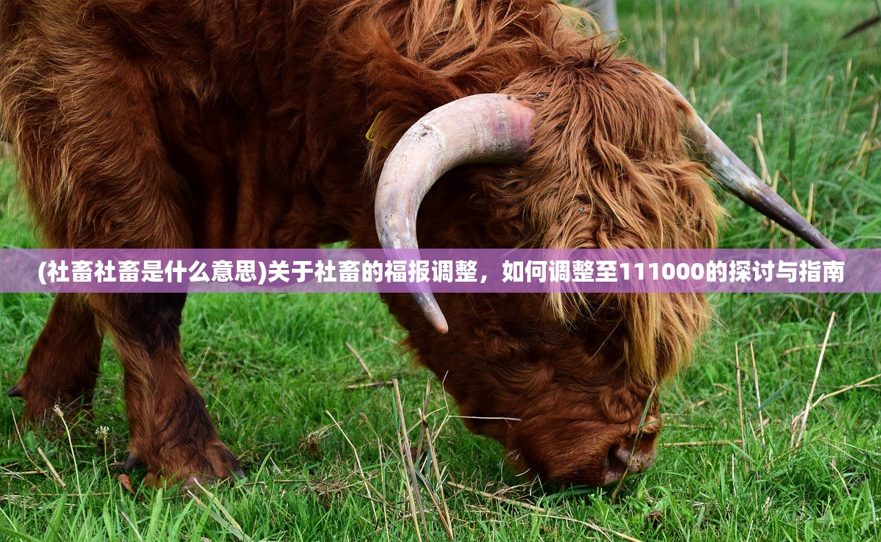 (社畜社畜是什么意思)关于社畜的福报调整,如何调整至111000的探讨与指南 (社畜社畜是什么意思)关于社畜的福报调整,如何调整至111000的探讨与指南