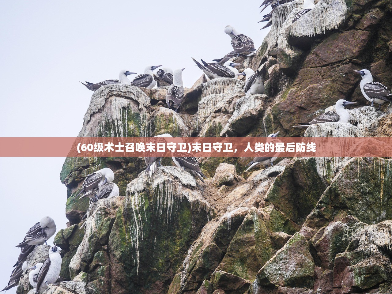 (60级术士召唤末日守卫)末日守卫，人类的最后防线