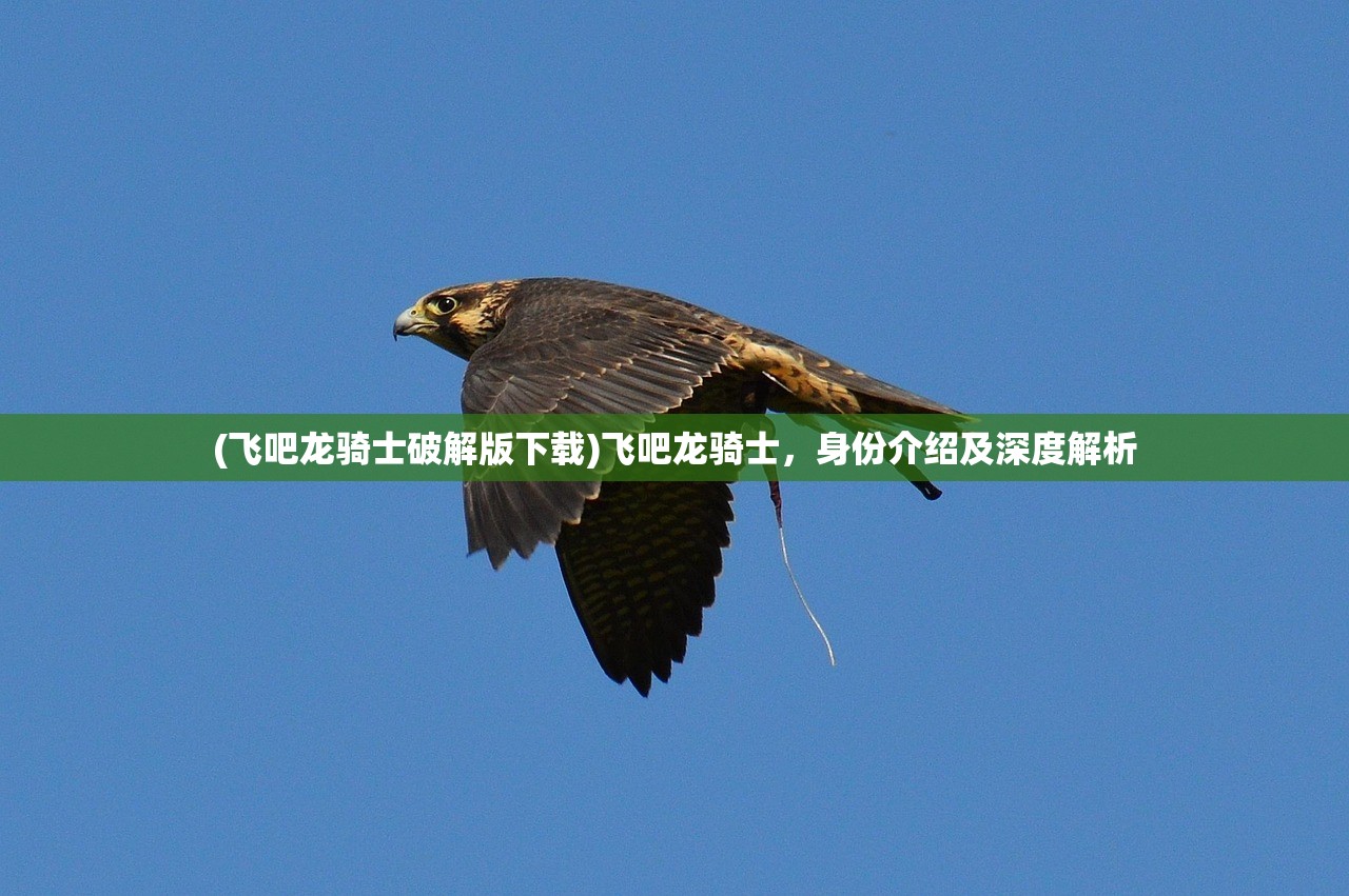 (飞吧龙骑士破解版下载)飞吧龙骑士,身份介绍及深度解析 (飞吧龙骑士破解版下载)飞吧龙骑士,身份介绍及深度解析