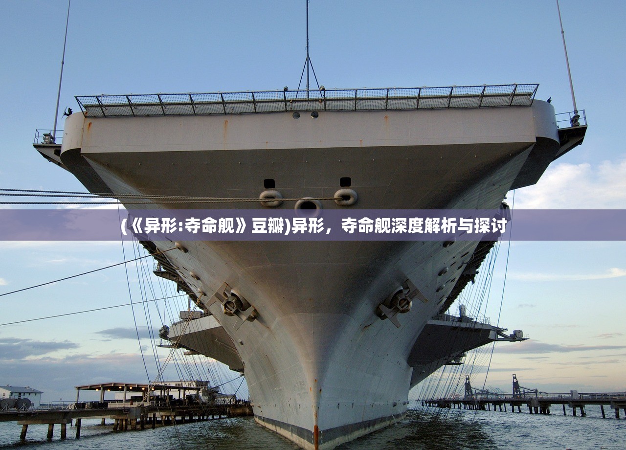 (《异形:夺命舰》豆瓣)异形,夺命舰深度解析与探讨 (《异形:夺命舰》豆瓣)异形,夺命舰深度解析与探讨