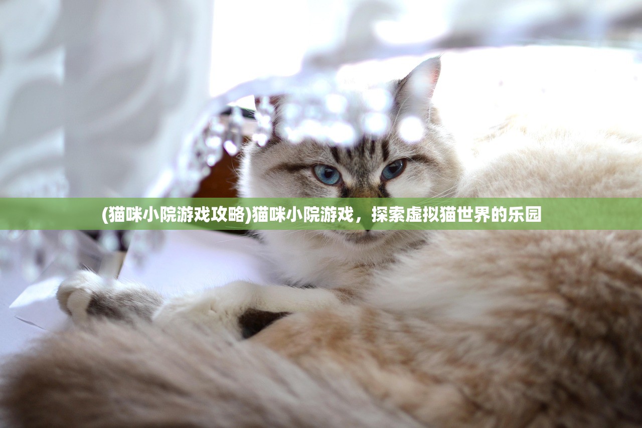 (猫咪小院游戏攻略)猫咪小院游戏，探索虚拟猫世界的乐园