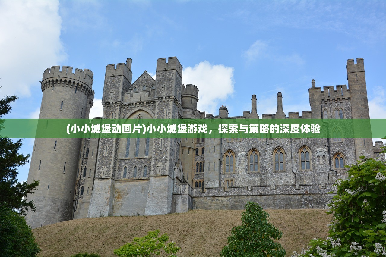 (小小城堡动画片)小小城堡游戏,探索与策略的深度体验 (小小城堡动画片)小小城堡游戏,探索与策略的深度体验