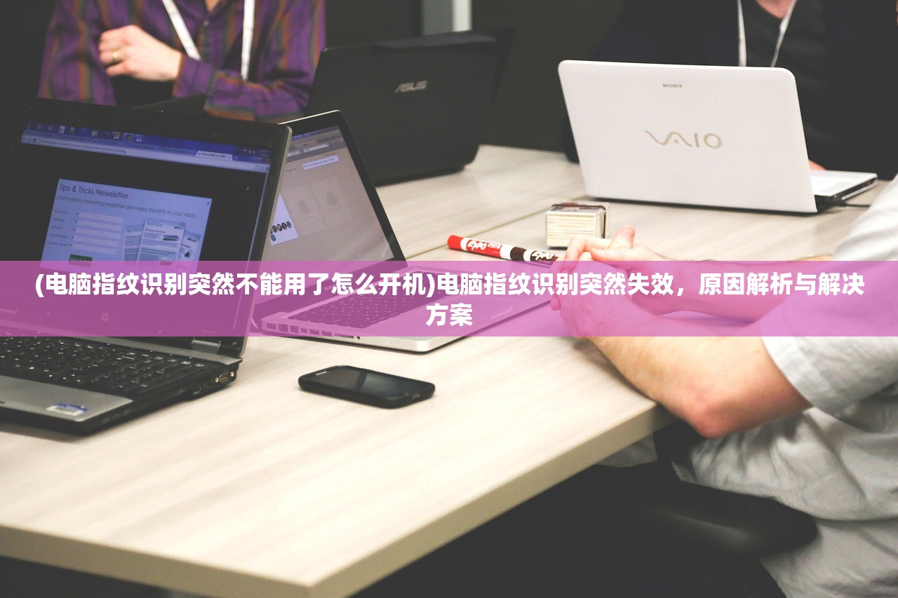 (电脑指纹识别突然不能用了怎么开机)电脑指纹识别突然失效,原因解析与解决方案 (电脑指纹识别突然不能用了怎么开机)电脑指纹识别突然失效,原因解析与解决方案