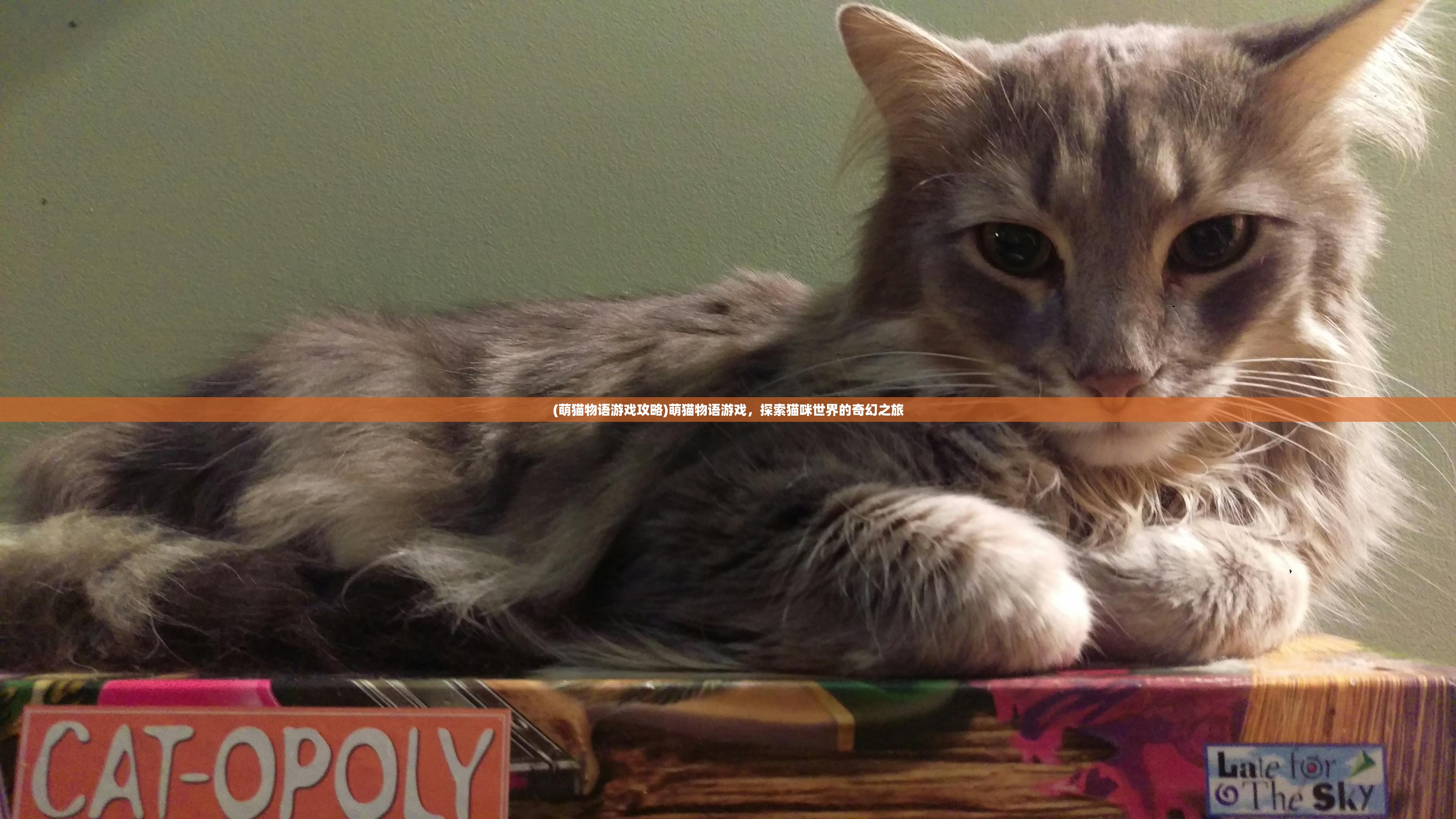 (萌猫物语游戏攻略)萌猫物语游戏，探索猫咪世界的奇幻之旅