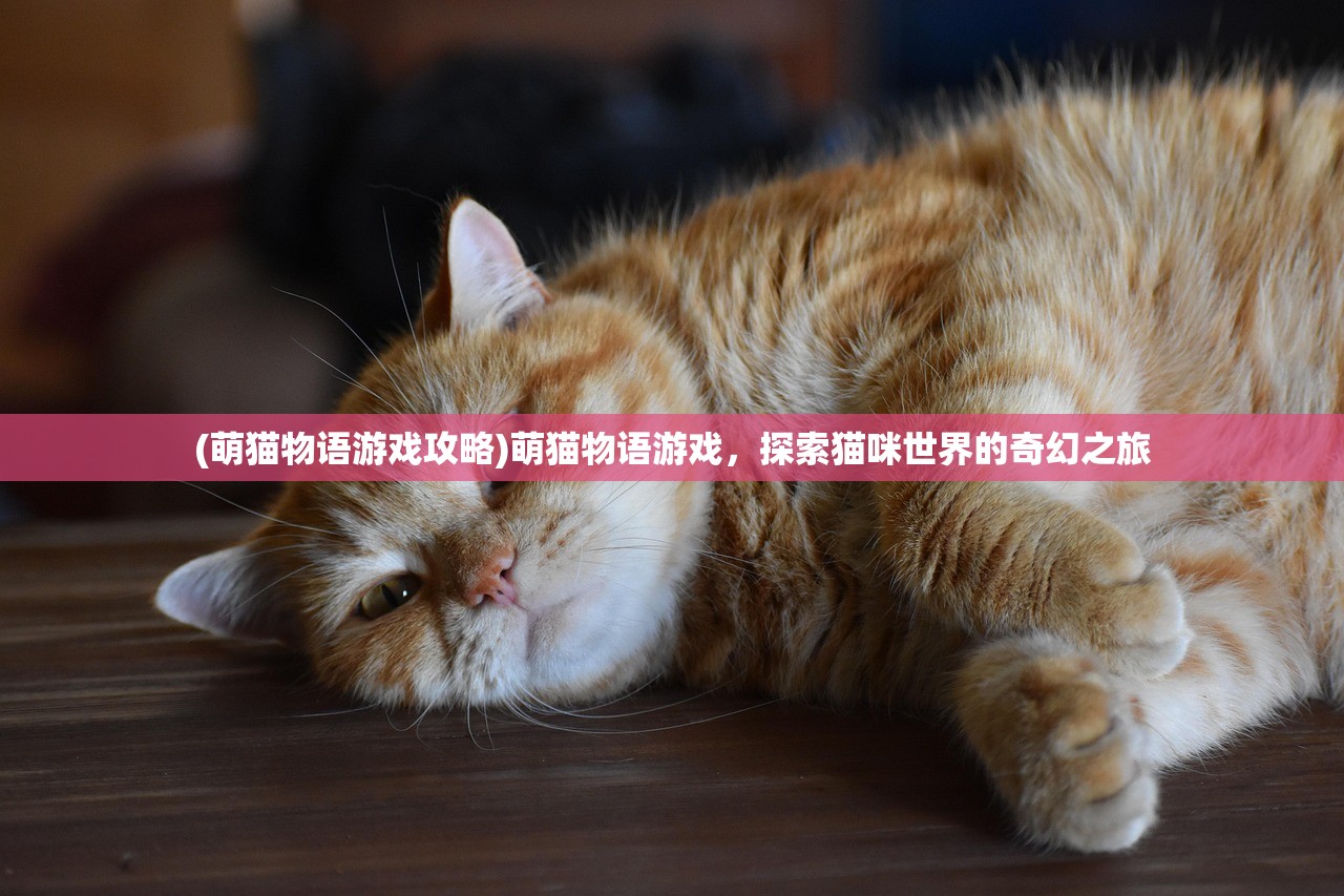 (萌猫物语游戏攻略)萌猫物语游戏，探索猫咪世界的奇幻之旅