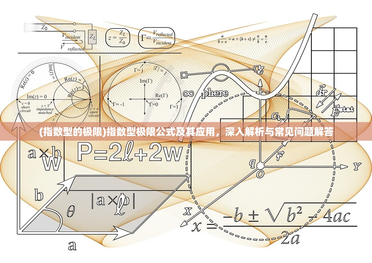 (指数型的极限)指数型极限公式及其应用，深入解析与常见问题解答