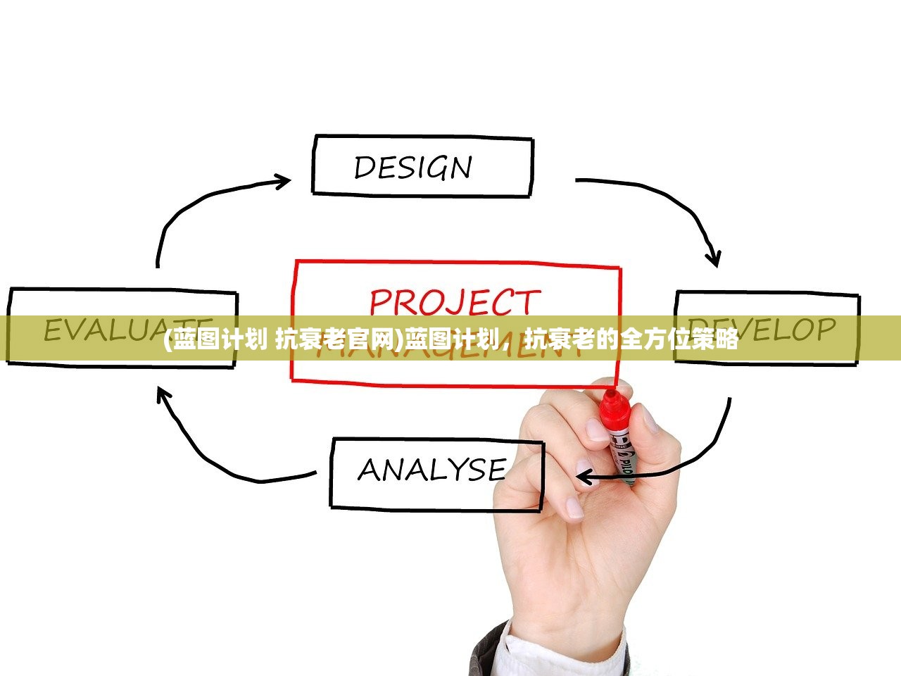 (蓝图计划 抗衰老官网)蓝图计划,抗衰老的全方位策略 (蓝图计划 抗衰老官网)蓝图计划,抗衰老的全方位策略
