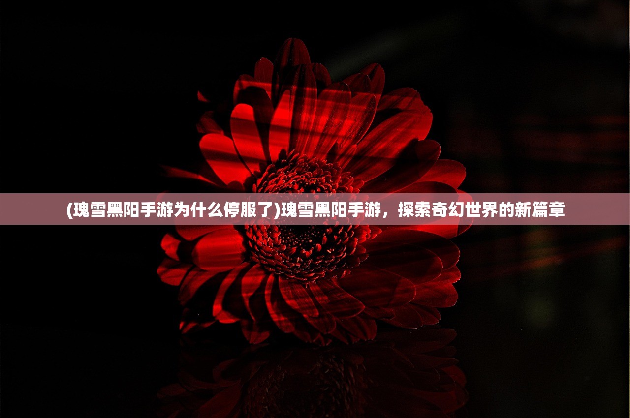 (瑰雪黑阳手游为什么停服了)瑰雪黑阳手游,探索奇幻世界的新篇章 (瑰雪黑阳手游为什么停服了)瑰雪黑阳手游,探索奇幻世界的新篇章