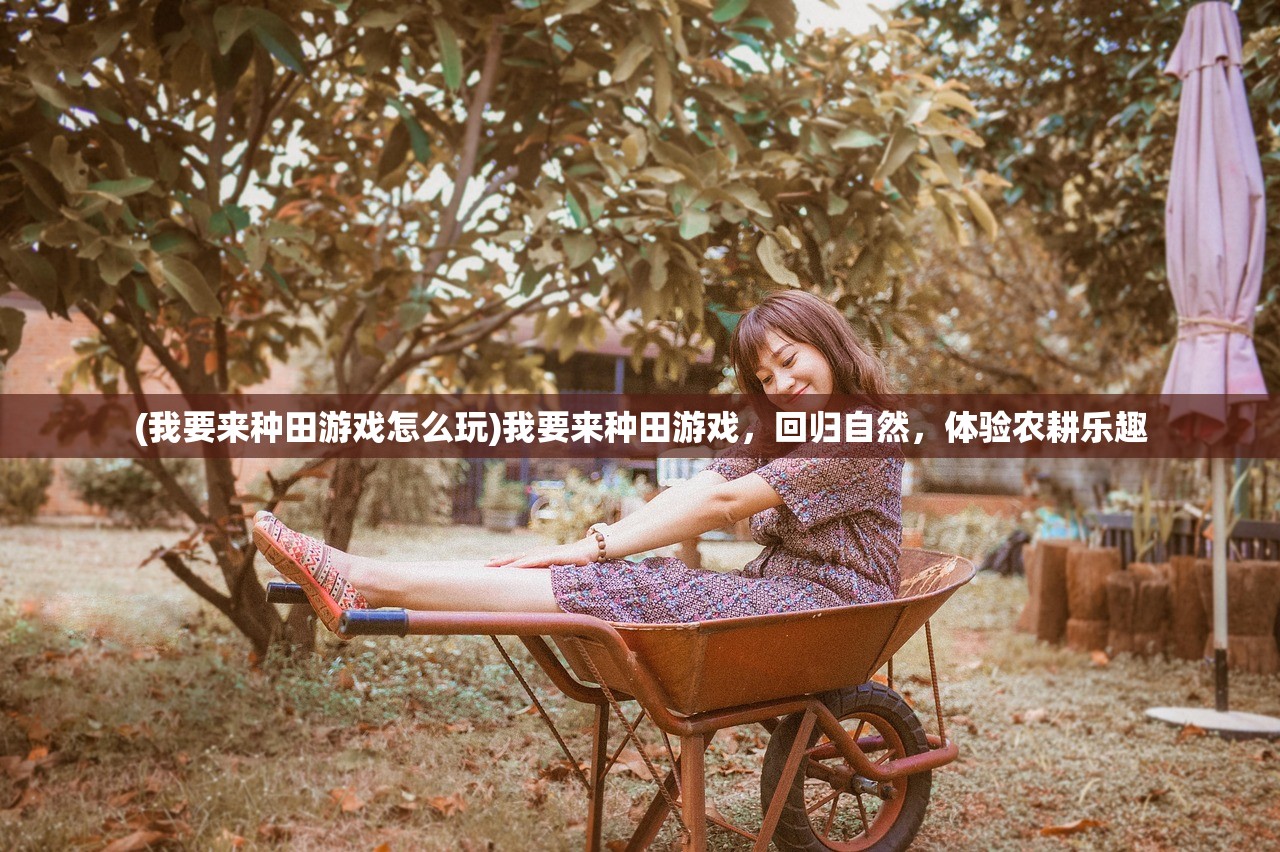 (萌猫物语sr甜点师)点心萌物语最强阵容揭秘与策略分析 (萌猫物语sr甜点师)点心萌物语最强阵容揭秘与策略分析