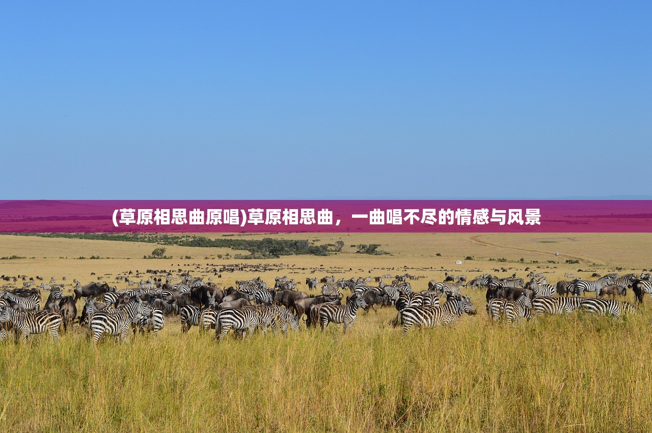 (落银城怎么玩)落银城全面攻略,探索未知,挑战极限! (落银城怎么玩)落银城全面攻略,探索未知,挑战极限!