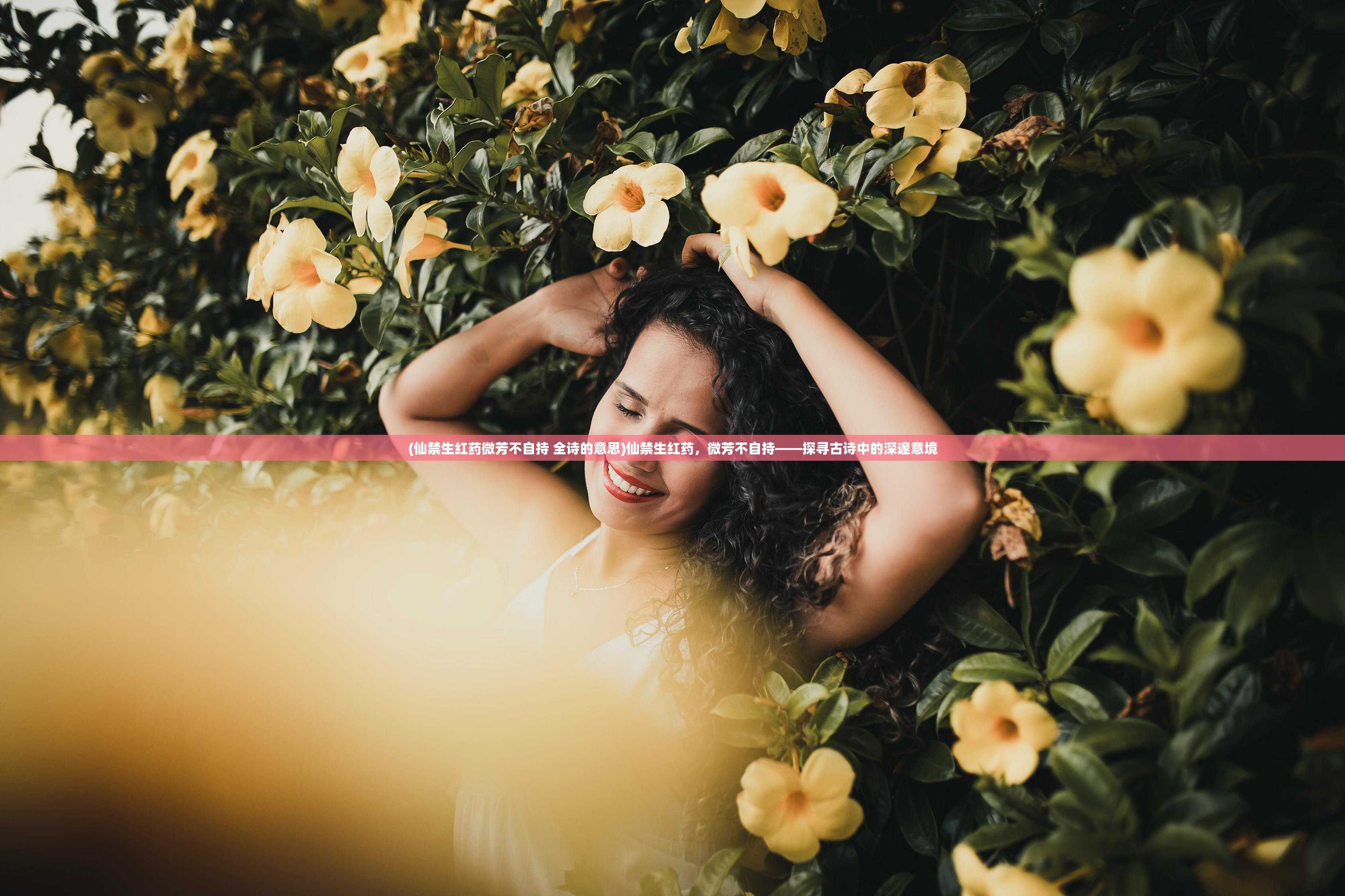 (萌猫物语sr甜点师)点心萌物语最强阵容揭秘与策略分析 (萌猫物语sr甜点师)点心萌物语最强阵容揭秘与策略分析