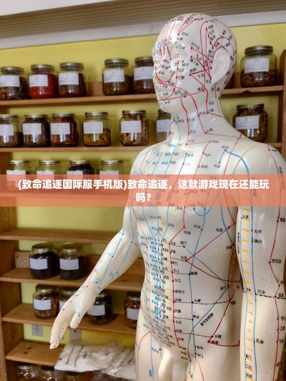 (致命追逐国际服手机版)致命追逐，这款游戏现在还能玩吗？
