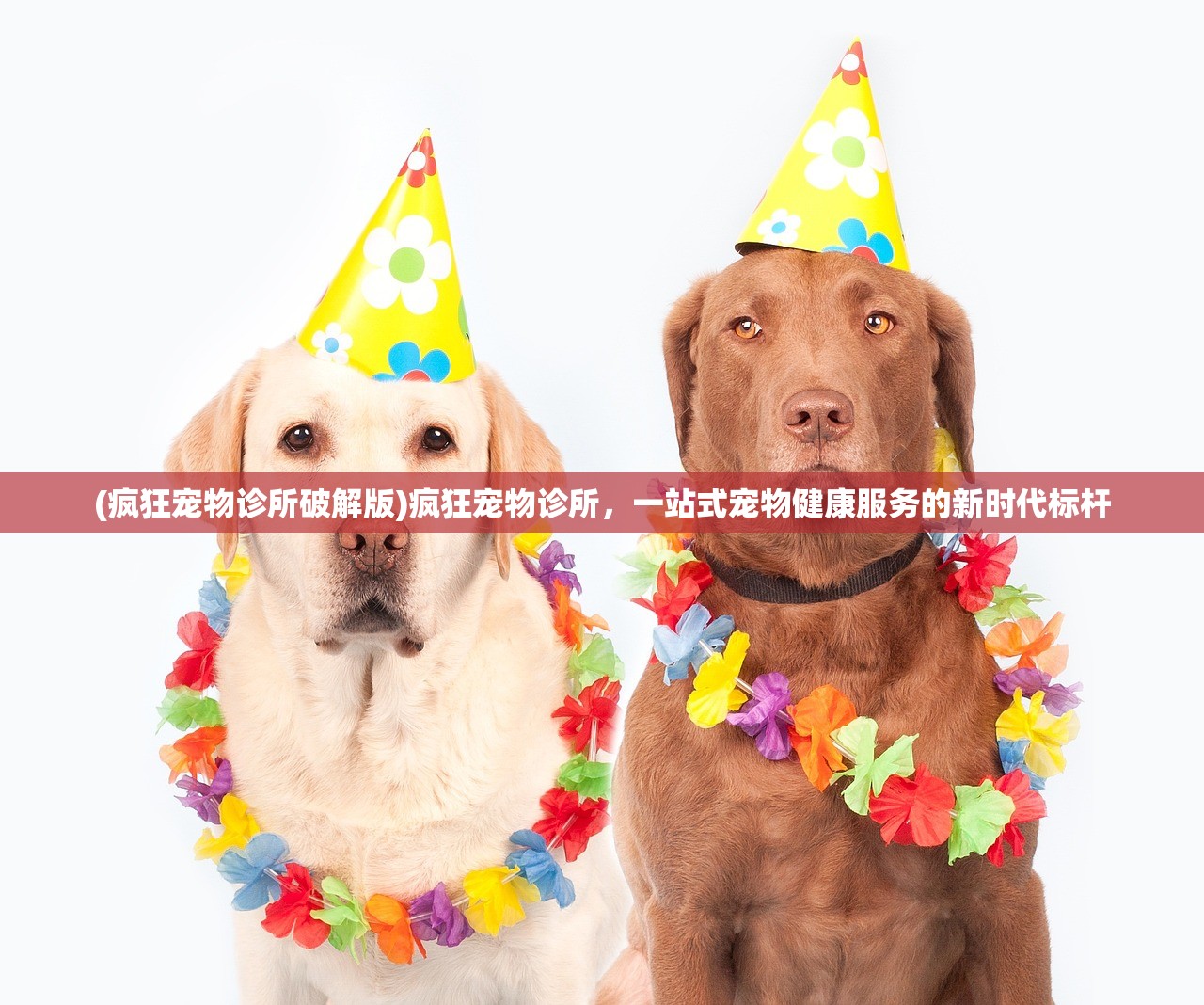 (众神之狱3手游攻略)众神之狱3手游，探索神秘世界的无尽魅力