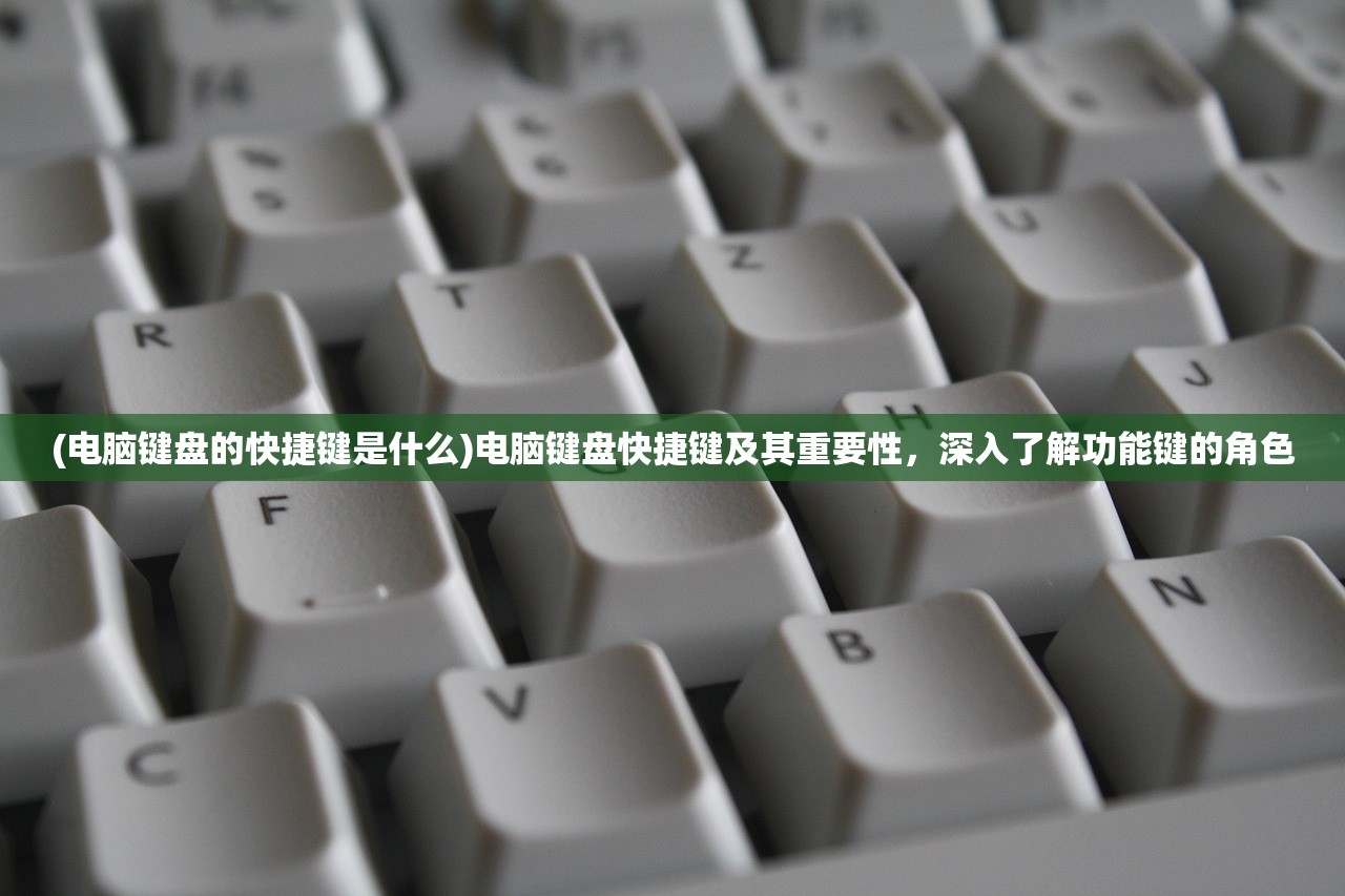 (电脑键盘的快捷键是什么)电脑键盘快捷键及其重要性,深入了解功能键的角色 (电脑键盘的快捷键是什么)电脑键盘快捷键及其重要性,深入了解功能键的角色