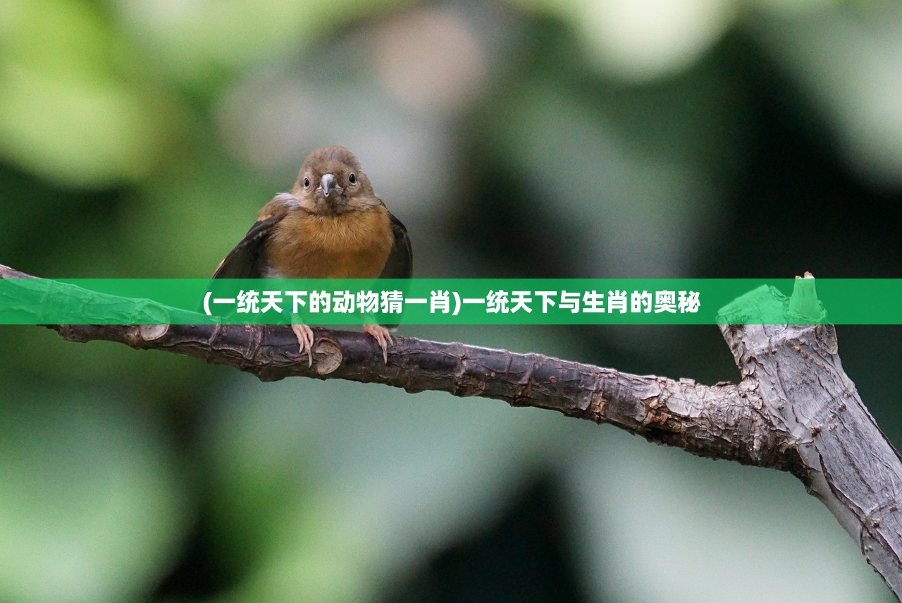 (一统天下的动物猜一肖)一统天下与生肖的奥秘 (一统天下的动物猜一肖)一统天下与生肖的奥秘