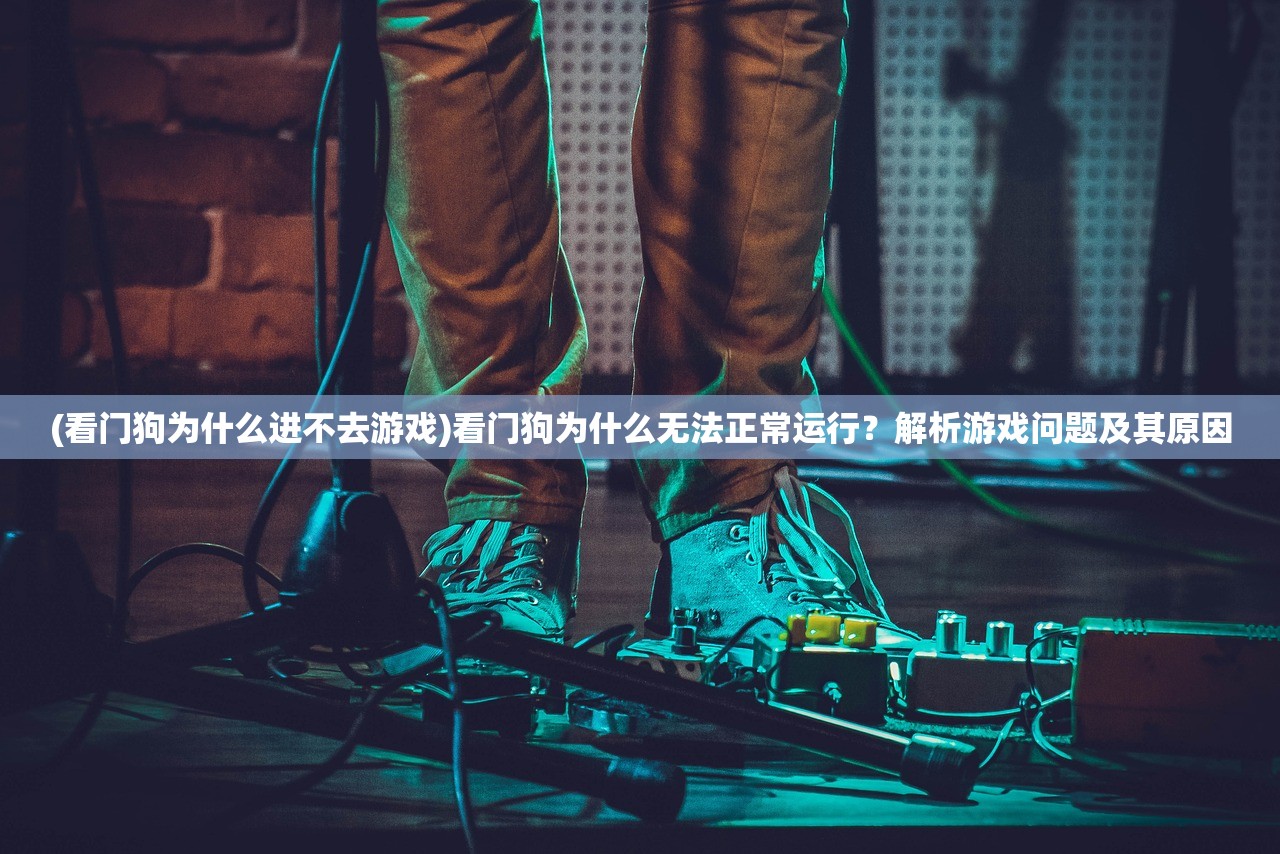 (看门狗为什么进不去游戏)看门狗为什么无法正常运行?解析游戏问题及其原因 (看门狗为什么进不去游戏)看门狗为什么无法正常运行?解析游戏问题及其原因