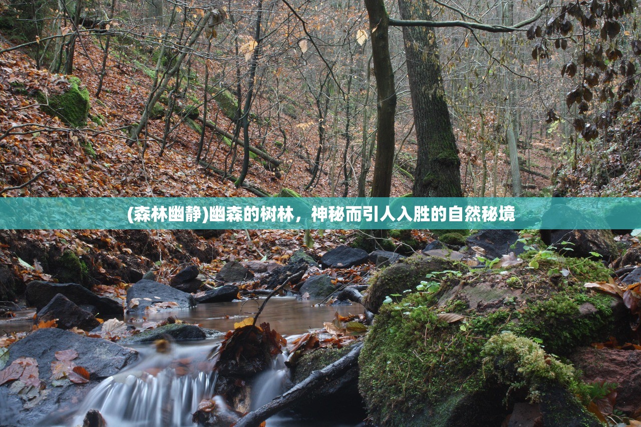 (艾比之星最新版下载安装)艾比之星最新版，全新特性与功能解析