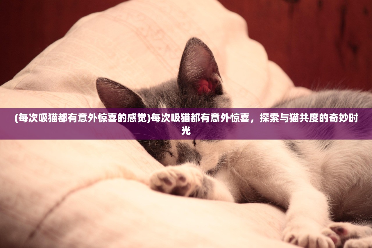 (伊苏纳爱斯汀的方舟)伊苏6纳比斯汀的方舟食谱,深入解析与常见问答 (伊苏纳爱斯汀的方舟)伊苏6纳比斯汀的方舟食谱,深入解析与常见问答