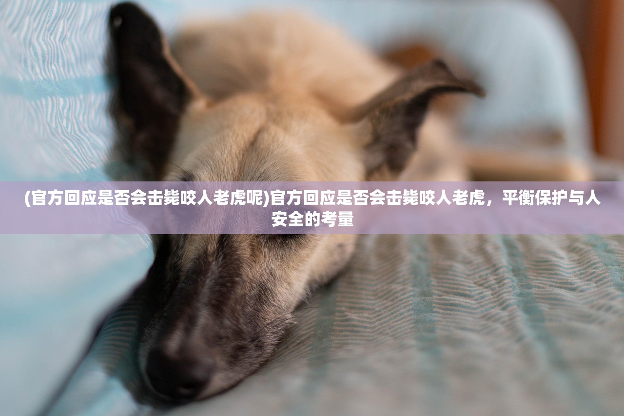 (像素神庙攻略路线)像素神庙布局攻略详解及常见问题解答 (像素神庙攻略路线)像素神庙布局攻略详解及常见问题解答