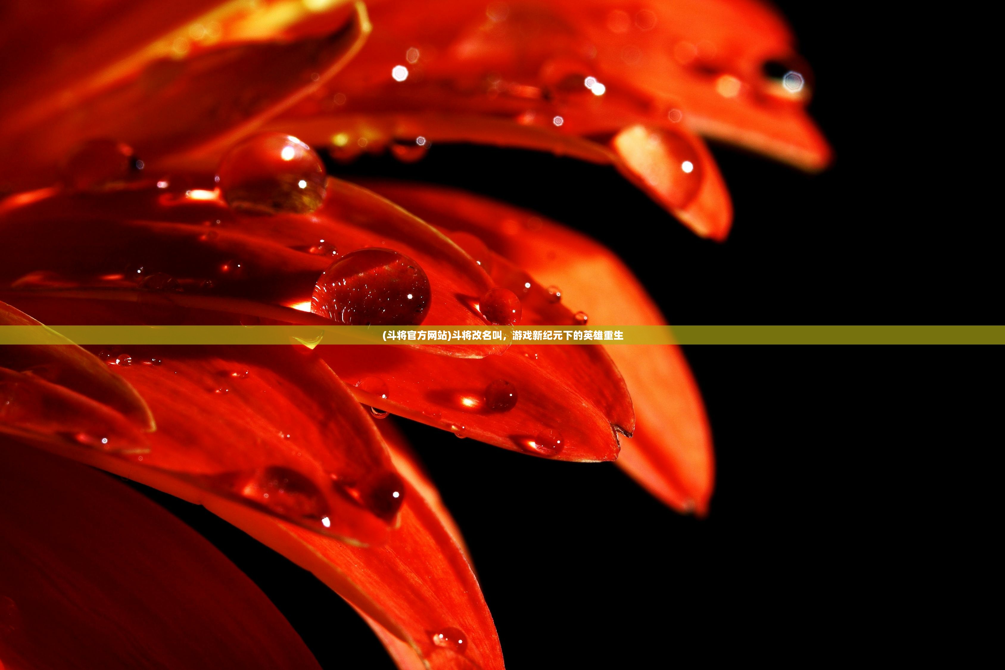 (斗将官方网站)斗将改名叫,游戏新纪元下的英雄重生 (斗将官方网站)斗将改名叫,游戏新纪元下的英雄重生