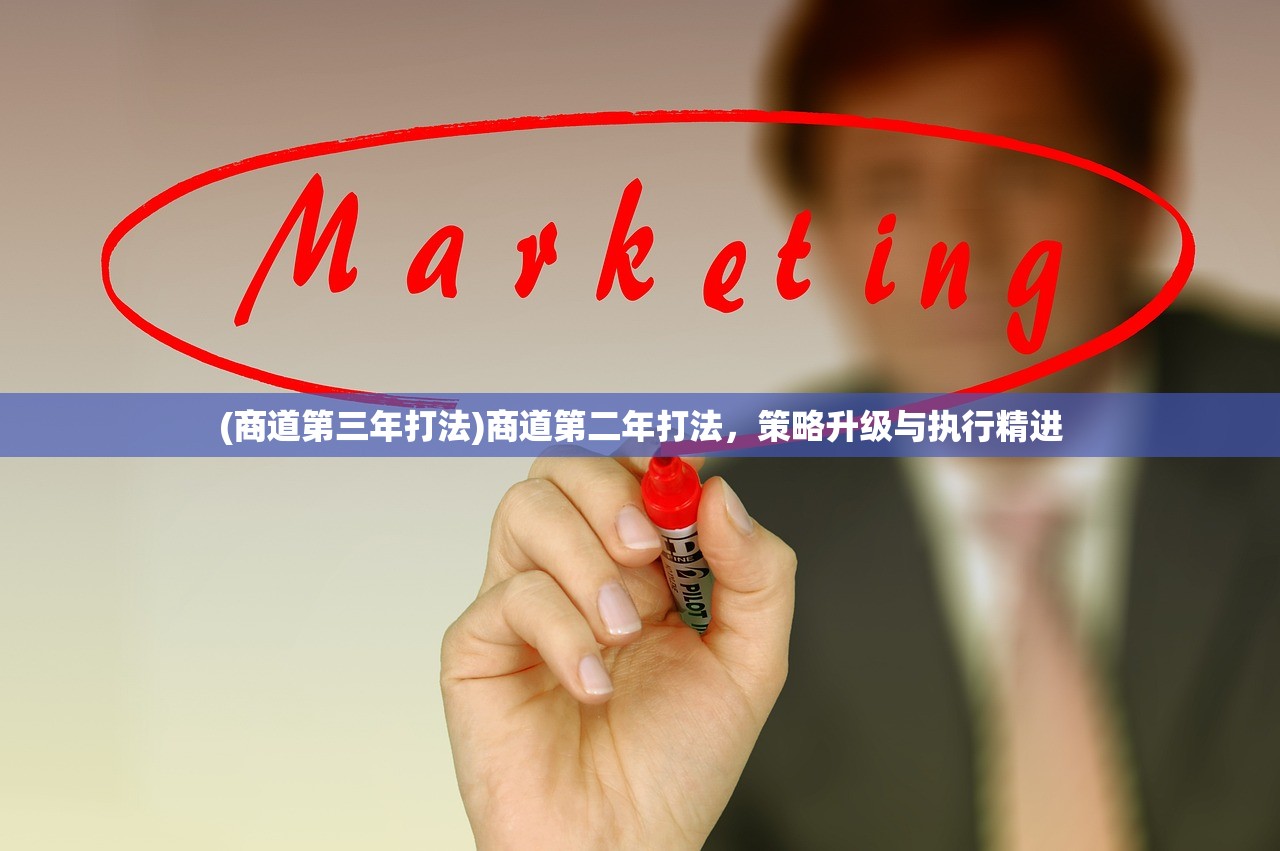 (商道第三年打法)商道第二年打法,策略升级与执行精进 (商道第三年打法)商道第二年打法,策略升级与执行精进