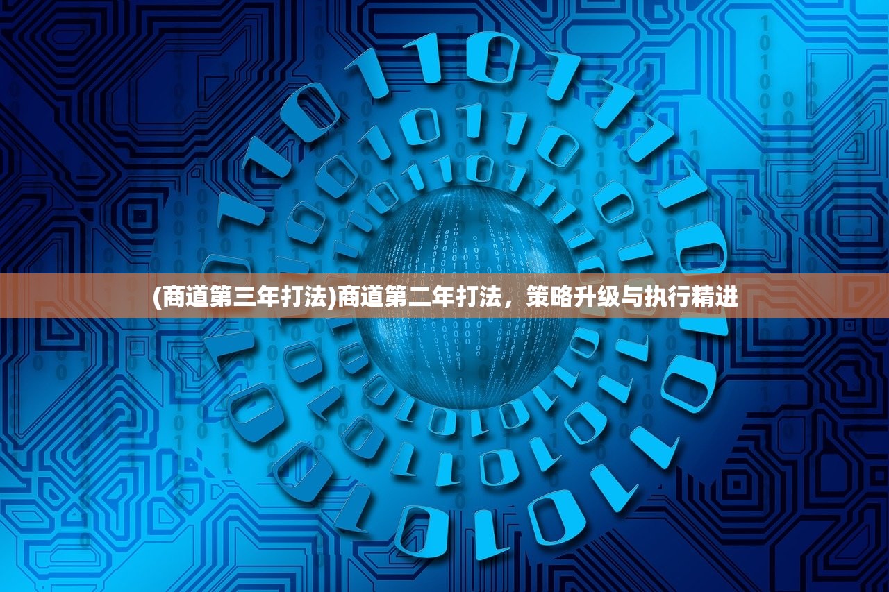 (商道第三年打法)商道第二年打法,策略升级与执行精进 (商道第三年打法)商道第二年打法,策略升级与执行精进