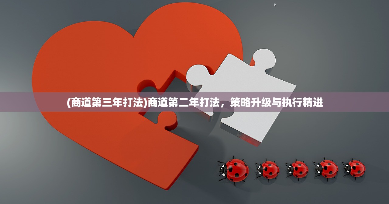 (商道第三年打法)商道第二年打法,策略升级与执行精进 (商道第三年打法)商道第二年打法,策略升级与执行精进